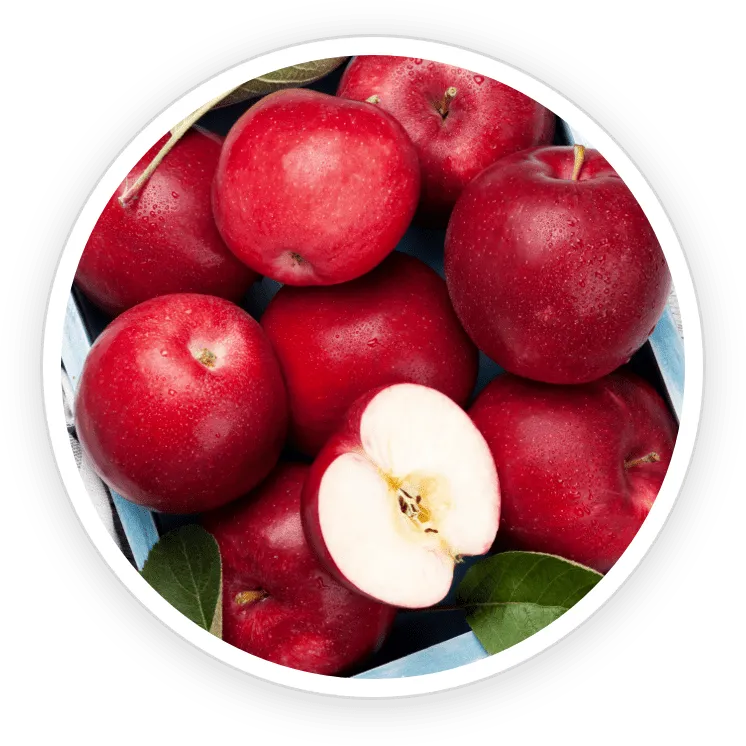 GumAktiv Ingredient Malic Acid